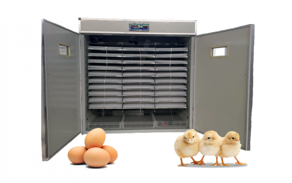 بهترین دستگاه جوجه کشی برای کارخانه ها