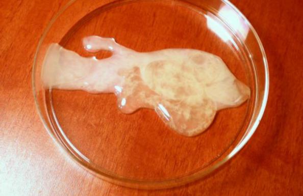 طول عمر بسیار بالای ست جمع آوری اسپرم