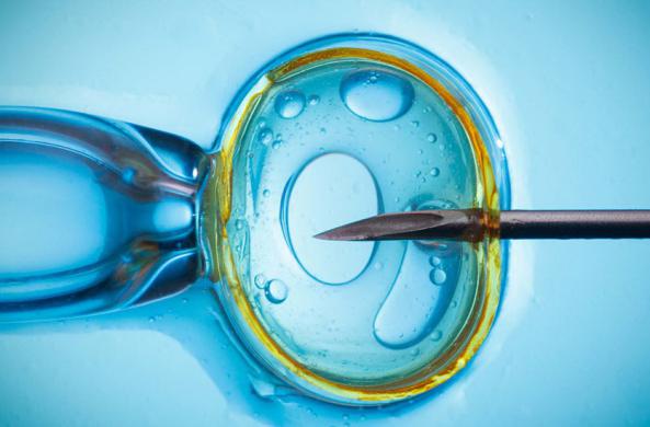 شرکت توزیع ست جمع آوری اسپرم ایرانی