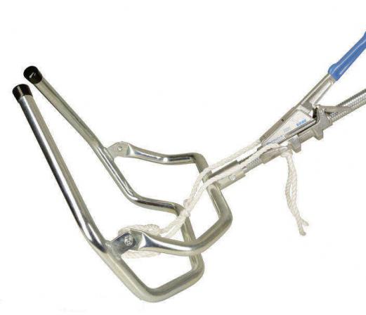 بازار صادرات جک زایمان گوساله گاو