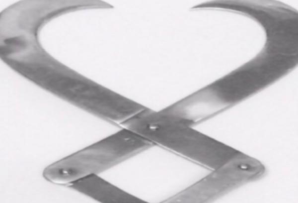 صادر کننده انبر کشویی گوساله کش