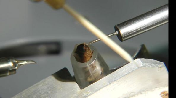 نحوه کار با دستگاه تلقیح ایرانی