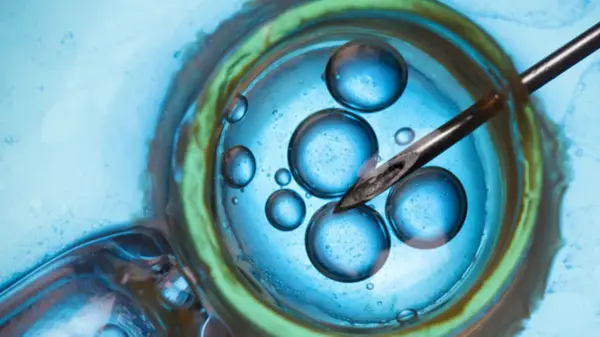 قیمت بهترین غلاف چاک دار انتقال جنین