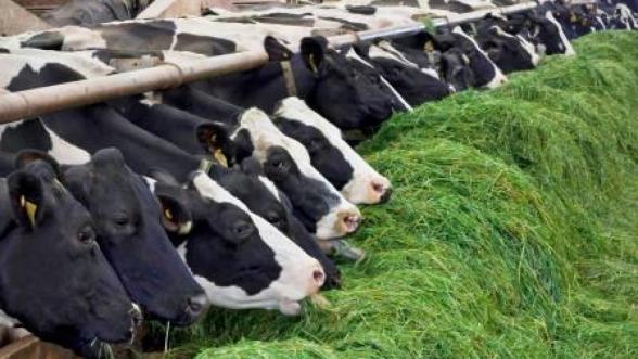 مرکز تامین دستگاه تلقیح گاو